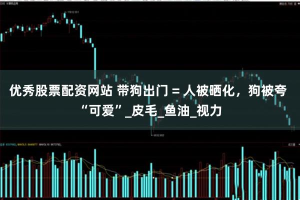 优秀股票配资网站 带狗出门 = 人被晒化，狗被夸 “可爱”_皮毛_鱼油_视力